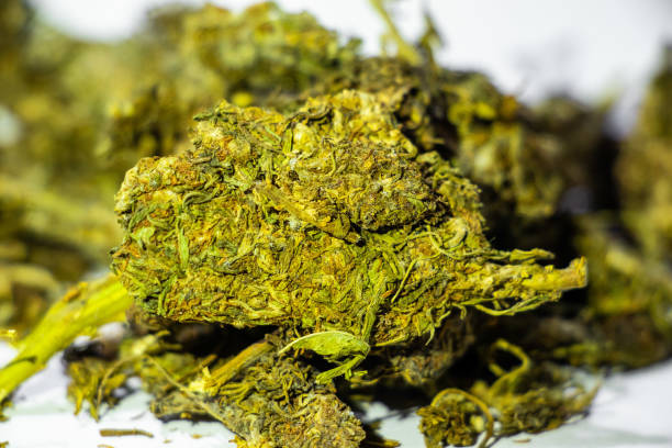 २ किलो गाँजा प्रहरीले नियन्त्रणमा